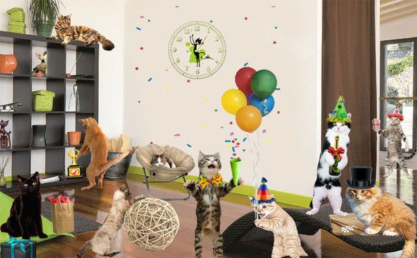 Chats fête au salon .